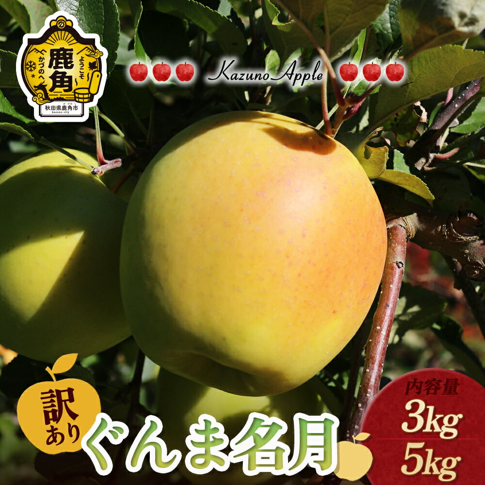 【ふるさと納税】《 先行予約 》 訳あり りんご 鹿角りんご 「 ぐんま名月 」 選べる 3kg ／ 5kg リンゴ 林檎 家庭用 訳あり みずみずしい 果汁 完熟 旬 県産りんご お中元 お歳暮 贈り物 お見舞い グルメ ギフト 故郷 秋田 あきた 鹿角市 鹿角 送料無料 【佐藤秀果園】