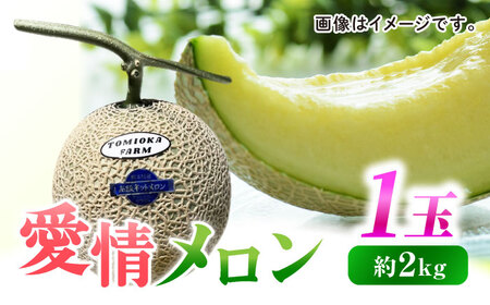 【先行予約】愛情 メロン 1玉【とみおか農園】[ZEM007]