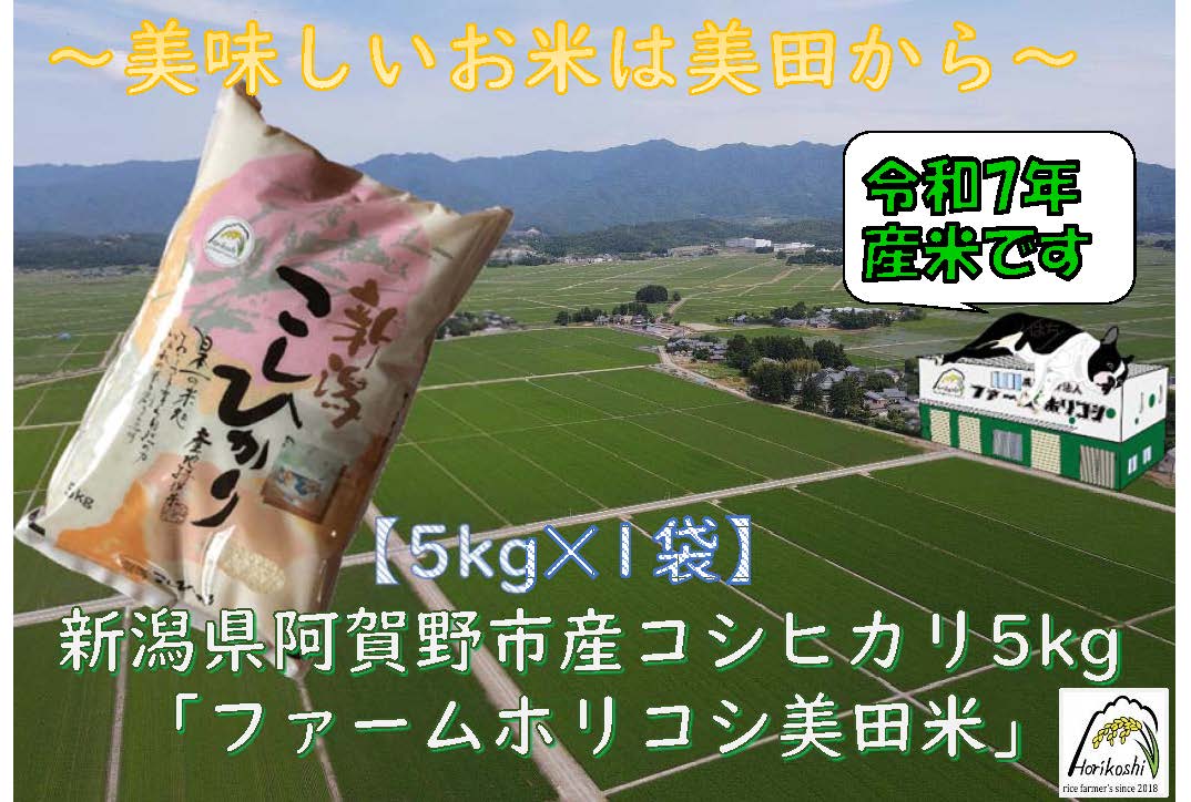 【令和7年産】阿賀野市産 コシヒカリ 「ファームホリコシ美田米」 5kg 数量限定 1週間以内に発送可 3H01010