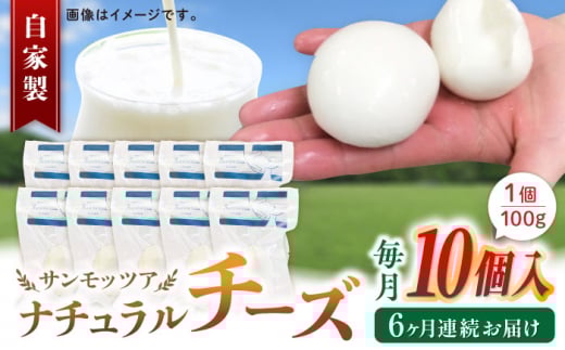 【全6回定期便】自家製 ナチュラルチーズ サンモッツア 10個 ( 100g × 10個 ) / チーズ モッツァレラチーズ  乳製品 熊本 山都町【山の未来舎】[YBV021]