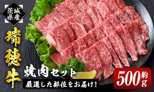 
            瑞穂牛焼肉セット 約500g 牛肉 やきにく バラ 肩ロース 肩 肩バラ トモサンカク イチボ ブランド牛 冷凍配送 茨城県 お中元 焼肉の日 敬老の日 瑞穂牛 焼肉 10種 盛り合わせ 食べ比べ 国産 肉 BBQ セット ho0858
          
