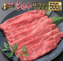 【ふるさと納税】宮崎牛 肩ウデ スライス 500g 牛肉 ビーフ 黒毛和牛 肉質等級4等級以上 赤身 国産 ブランド牛 すき焼き しゃぶしゃぶ 焼肉 鍋 鉄板焼き 食品 贅沢 高級 A4ランク ご褒美 お祝い 記念日 おすすめ お取り寄せ グルメ おもてなし 宮崎県 日南市 送料無料