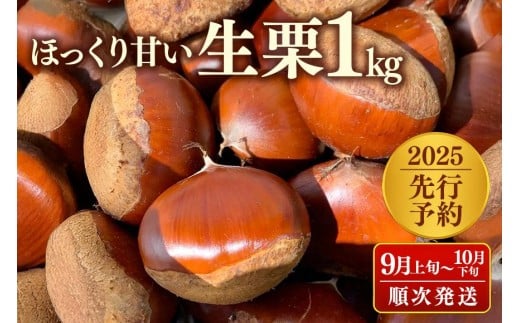 【2025先行予約】茨城県産 生栗1kg