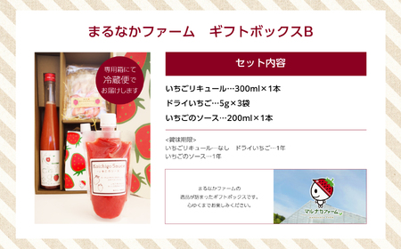 まるなかファーム　ギフトボックスB【まるなかファーム】