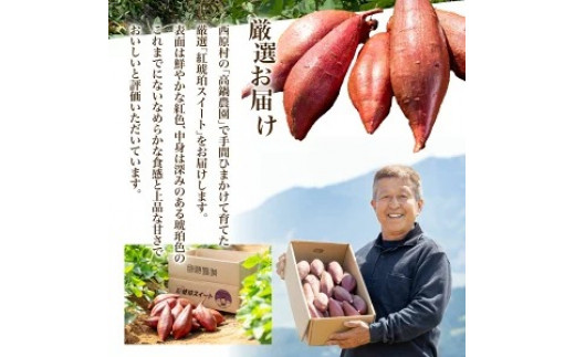 【小さめ（3S-S）】 紅琥珀スイート （シルクスイート） 約5kg 箱 さつまいも 芋 サツマイモ いも イモ しるくすいーと 熊本県 西原村 【2026年12月上旬～2027年2月下旬発送予定】