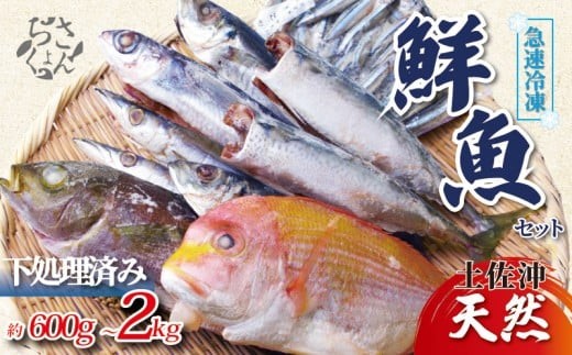 
                  冷凍魚 セット 600g～2kg 下処理済み 新鮮 真空パック 冷凍 魚 冷凍鮮魚 詰め合わせ 魚セット 魚詰め合わせ お魚セット 簡単調理 小分け 魚貝 魚介類 お魚 まるごと 土佐沖獲れ 天然 旬 旬の魚 鮮魚 海鮮 料理 下処理 ふるさと納税1万円 ふるさと納税10000円 10000円 1万円 一万円 1万 10000 土佐佐賀産直出荷組合 高知 高知県 黒潮町
                