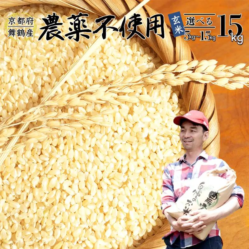 令和7年度産 棚田米 玄米 15kg コシヒカリ 栽培期間中 農薬不使用