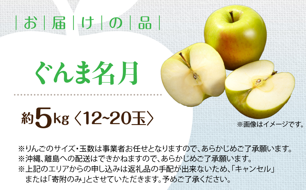 ★JAL限定★【先行予約】北海道壮瞥町産りんご「ぐんま名月」約5kg(12〜20玉)<2026年11月中旬よりお届け> SBTF013