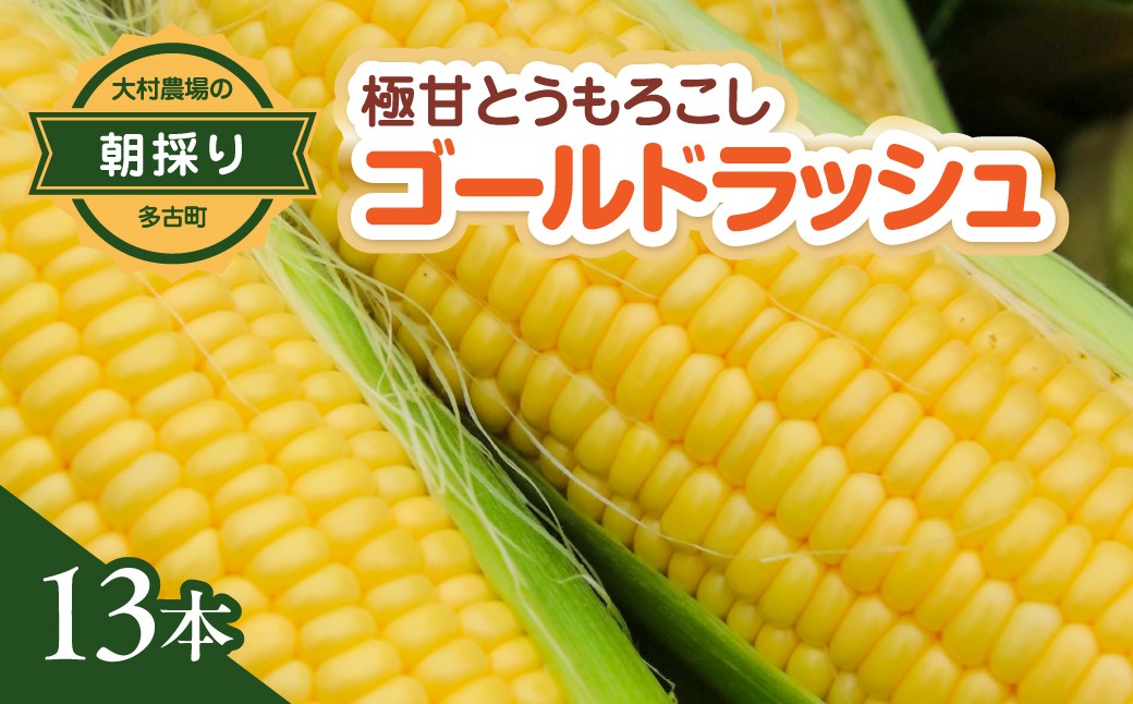 
                  大村農場の朝採り極甘とうもろこしゴールドラッシュ13本(6月中旬から発送)TAKG002
                