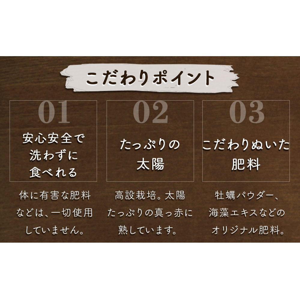 【朝摘みをお届け！】【2025年12月中旬頃より順次発送】 フルーツガーデンやまがたのいちご「うずしおベリー」特大粒24個  【数量限定】 いちご フルーツ 果物 苺 イチゴ 旬の果物 季節の果物 鳴