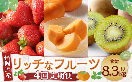 福岡のリッチな フルーツ 4回 定期便 計約 8380g 国産 福岡 イチゴ いちご 苺 柿 キウイ 果物【2026年10月下旬～2027年1月下旬発送予定】
