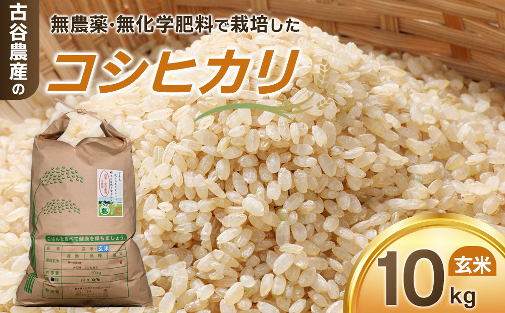 
            【令和7年産米 数量限定】古谷農産の無農薬・無化学肥料で栽培したコシヒカリ（玄米10キロ） ｜米 コメ 新米 10kgコシヒカリ こしひかり 農家直送 産地直送 産直
          