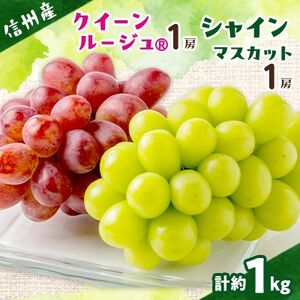 クイーンルージュ＆シャインマスカット　2房セット【配送不可地域：離島】【1436453】
