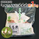 【ふるさと納税】福岡県産地鶏「はかた地どり」もも肉(約1kg) お取り寄せグルメ お取り寄せ 福岡 お土産 九州 ご当地グルメ 福岡土産 取り寄せ 福岡県 食品