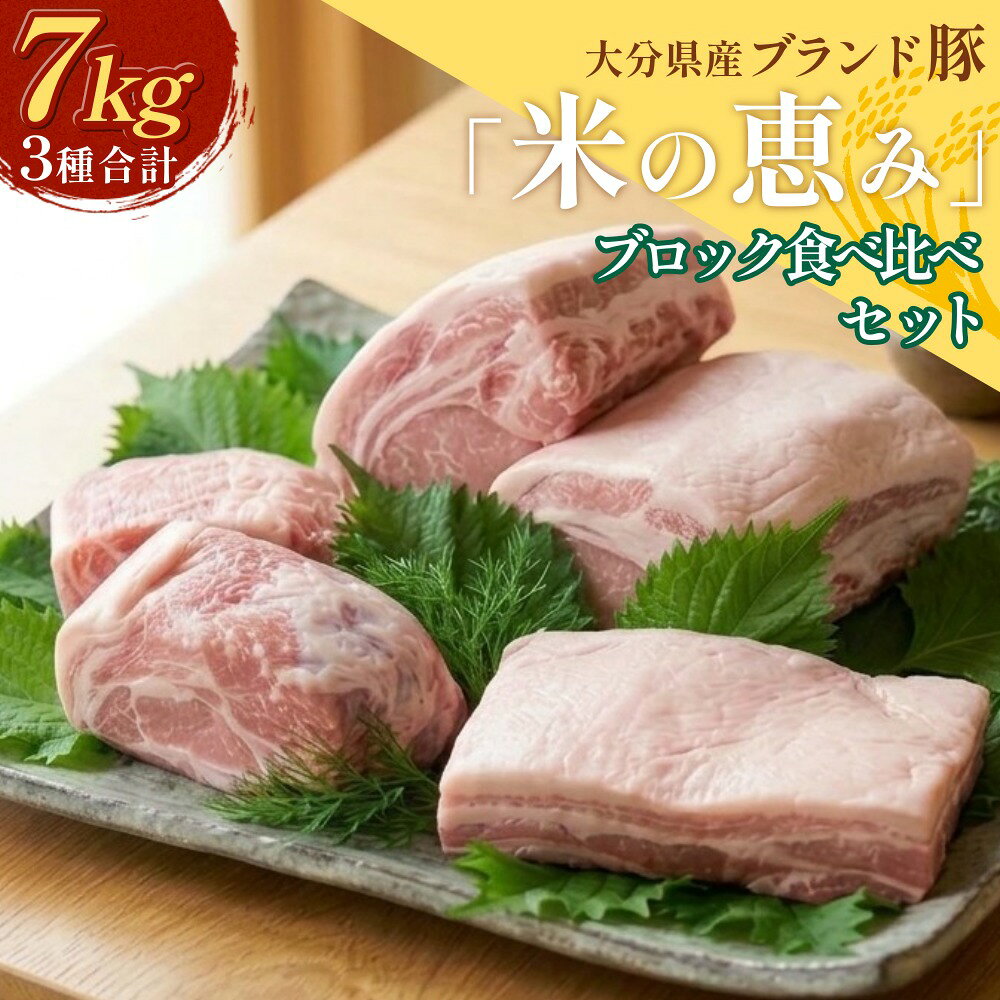 【ふるさと納税】大分県産ブランド豚 奥豊後豚（米の恵み） 3種ブロック 食べ比べセット 計7kg ロース 肩ロース