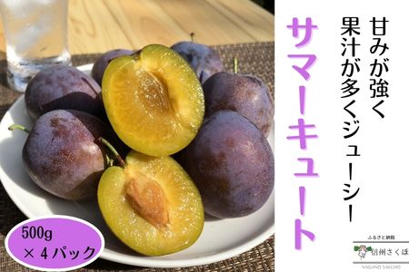 生プルーン　サマーキュート2kg　（500g×4パック）【期間限定】［RS-109］