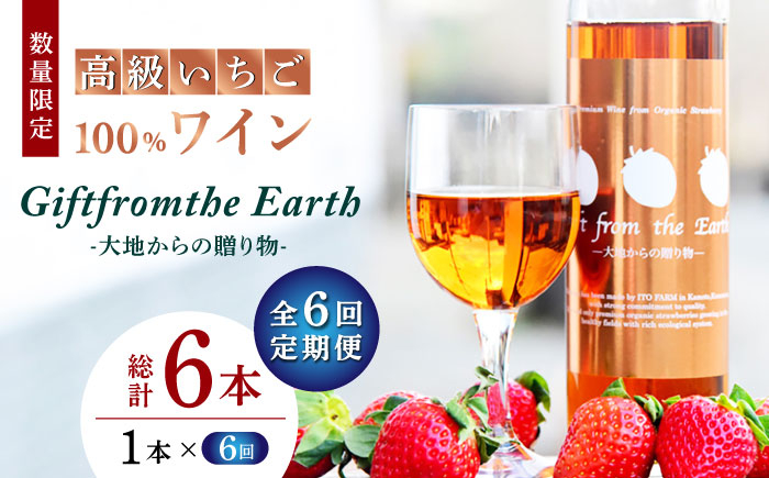 
【6回定期便】【数量限定】高級 いちご 100％ワイン Giftfromthe Earth -大地からの贈り物- オーガニック【伊藤農園】 有機 お酒 ワイン オーガニックワイン [ZBB019]
