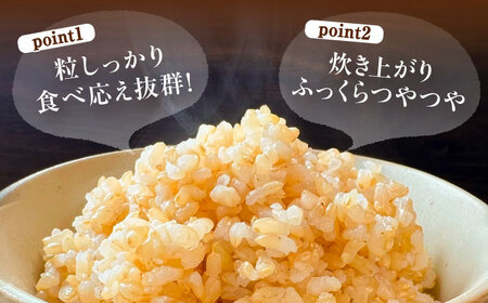 あいちのかおり 玄米 30kg【配達不可：北海道・沖縄・離島】 / 日栄トラクター[AEDM001]