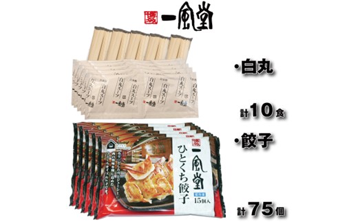 AE305.【一風堂】白丸ラー麦麺10食とひとくち餃子5袋セット【豚骨ラーメン】