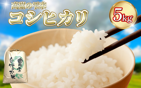 コシヒカリ 5kg 高嶺の雫米 コシヒカリ