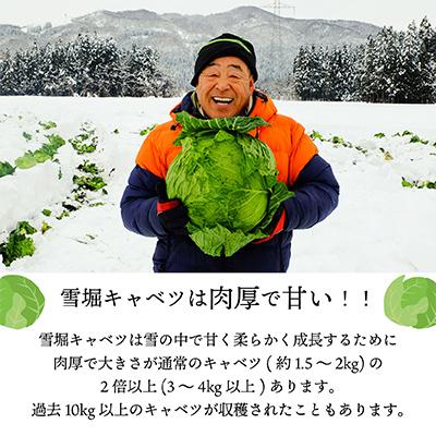 ふるさと納税 柳津町 雪の中で旨みが凝縮!柔らか食感!「雪掘(ゆきほり)ロールキャベツ」1kg(コンソメ・デミ各1パック) |  | 02