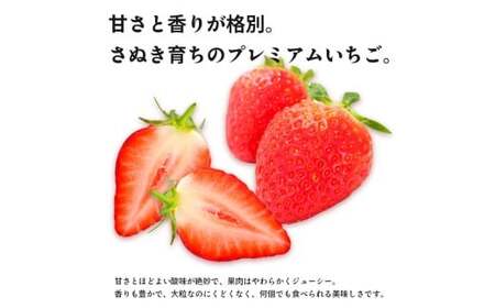 いちごの定期便 4回 Hコース フルーツ 定期便