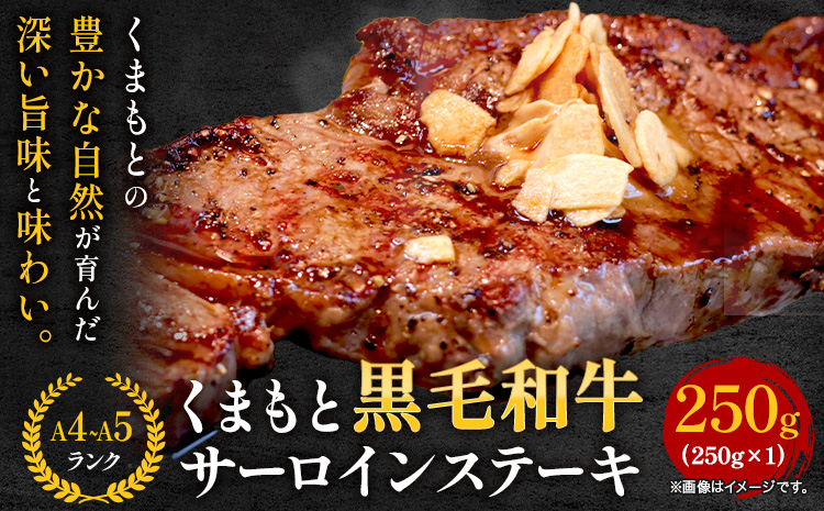 【A4〜A5】くまもと黒毛和牛 サーロインステーキ  250g 《30日以内に出荷予定(土日祝除く)》 牛肉 くまもと黒毛和牛 黒毛和牛 冷凍庫 サーロイン ステーキ Esprit