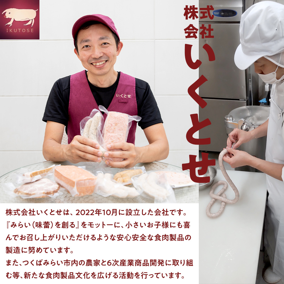 職人が作る ドイツソーセージ 粗挽き セット（325g×2パック）計650g いくとせ ウインナー ハム 無添加 無塩せき 減塩 美味しい ソーセージ 国産 豚 機内食 ビジネスクラス ファーストクラ