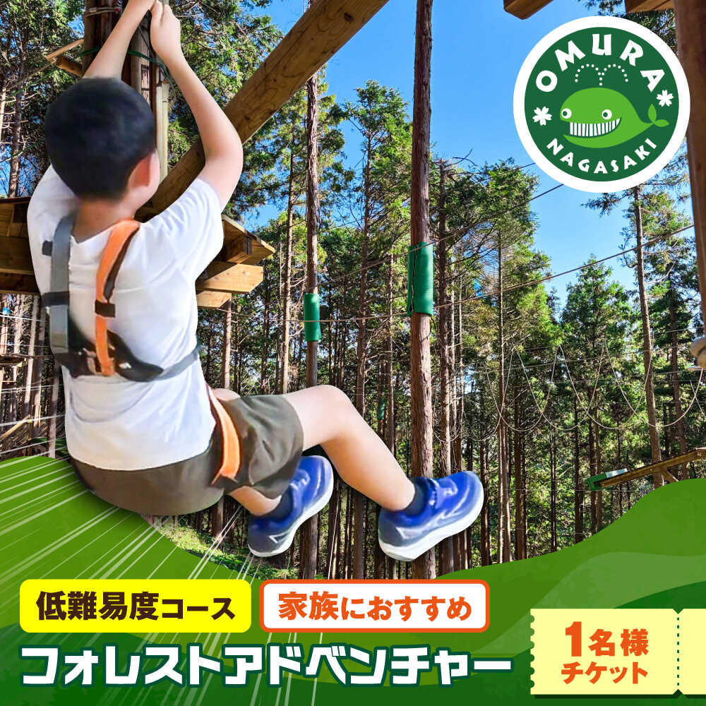 【ふるさと納税】家族みんなで楽しめるコース！ キャノピーコース チケット (1名様) / 自然 アウトドア アクティビティ 体験 / 大村市 / フォレストアドベンチャー[ACCH003]