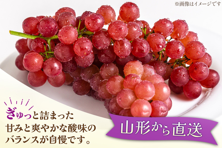 【期間限定発送】【2027年発送】 デラウェア 約2kg (約12～16房)