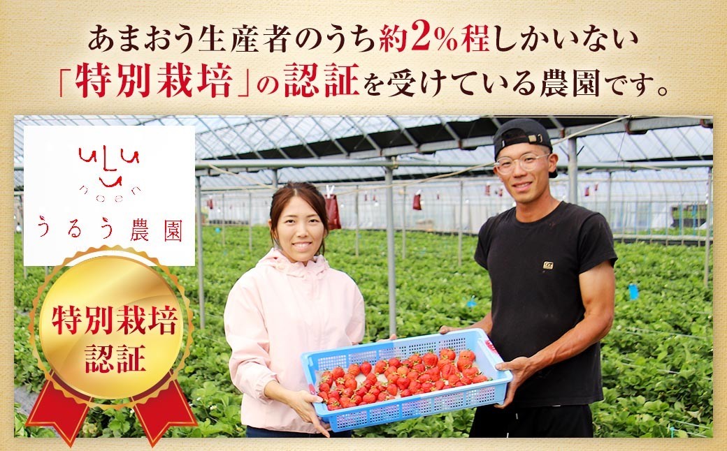 【特別栽培】うるう農園 冷凍あまおう 2kg あまおう イチゴ いちご 苺 フルーツ 果物