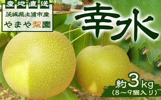 【先行予約】幸水約3kg（8～9個入り） ※2025年8月中旬～8月下旬頃に順次発送予定【茨城県産】 ※離島への配送不可