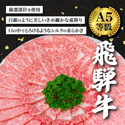 【訳あり】飛騨牛切り落し焼肉用600g【配送不可地域：離島】
