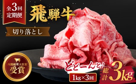 ＼贅沢な味わいをご家庭で／ 【3回定期便】【飛騨牛】切り落とし 総計3kg 〈1回あたり〉1kg (250g×4) 多治見市/肉のひぐち  牛肉 黒毛和牛 小分け 冷凍 バラ カレー しゃぶしゃぶ 牛丼 肉じゃが シチュー すき焼き 野菜炒め スライス 薄切り うす切り 国産 和牛 ブランド和牛 霜降り 飛騨牛 ご褒美 ごちそう ギフト 贈答 贈り物 定期便 送料無料   [TDC014]