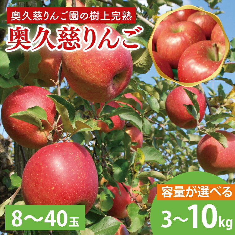 【ふるさと納税】【選べる】【数量限定・先行予約】【2025年9月中旬頃発送開始予定】奥久慈りんご園の樹上完熟 奥久慈りんご 3kg（8～12玉）or 10kg（30～40玉)(AI003-1)