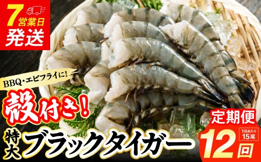 【12回定期便】特大 ブラックタイガー 無頭えび 570g前後（15尾）×12回 ｜海老 えび エビ ブラックタイガー 海鮮 魚介 殻付き 冷凍 大阪府 阪南市