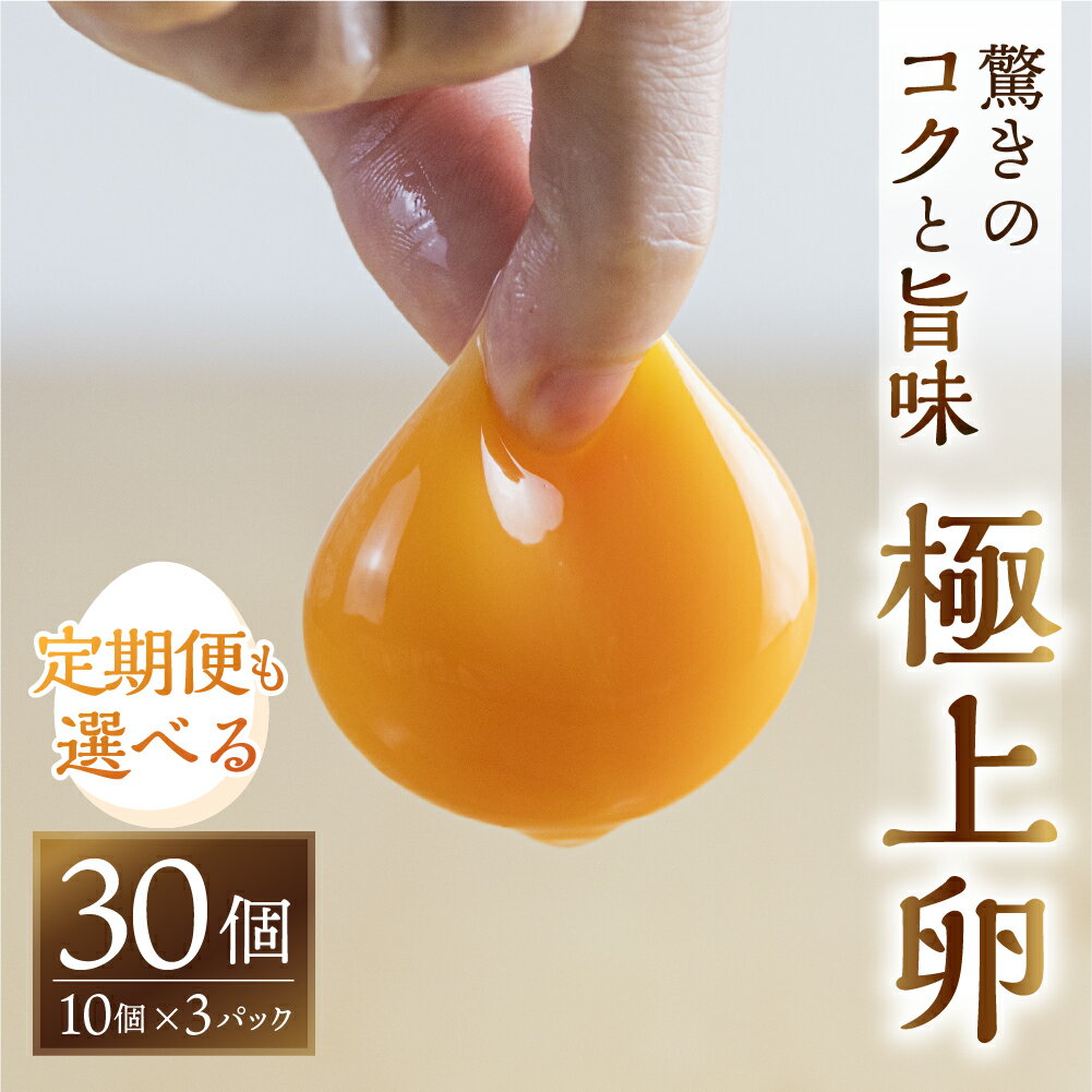 【ふるさと納税】感動 ＼高評価★5／ 極上卵 30個 割れ保証付き たまご カミヤタマゴ 選べる回数 1回 定期便 3回 6回 12回 たまこちゃん 卵 鶏卵 玉子 たまごかけご飯 お取り寄せ 小分け 生卵 濃厚 高級 玉子 毎月 定期 どうまい 人気 濃厚 6000円 18000円 36000円 72000円