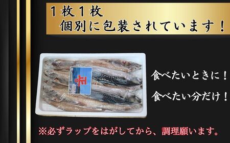 さば文化干し 10枚 鯖