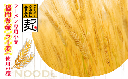 U16-15 福岡県産ラー麦 とまとらーめん 120g×8入(スープ付) 【JTW】 【fukuchi00】