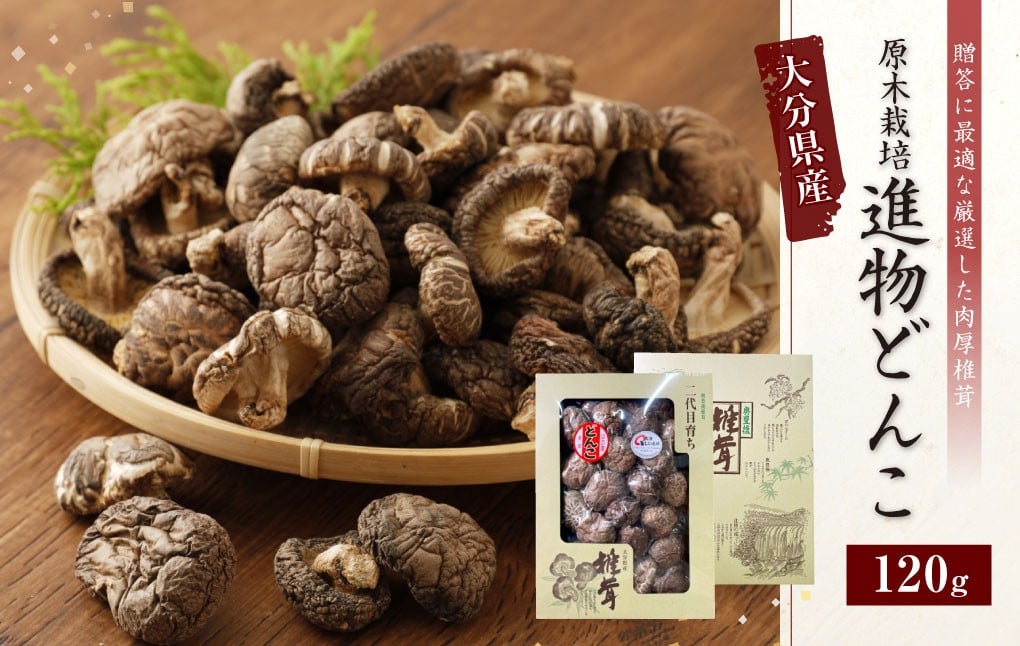 015-692x1 大分県産 椎茸 進物 どんこ 120g 乾燥椎茸 きのこ 茸