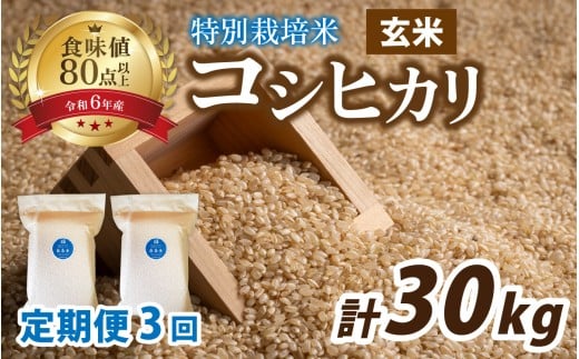 【3ヶ月連続お届け】【 令和7年産 新米 】南条米 新米 特別栽培米コシヒカリ 真空パック 玄米 10kg(5kg×2袋)×3ヶ月 (計30kg)｜ お米の定期便