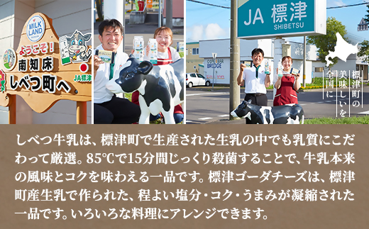 【毎月定期便】【3ヶ月定期便】しべつ牛乳4本・標津ゴーダチーズ2袋セット　北海道 詰め合わせ全3回【配送不可地域：離島】