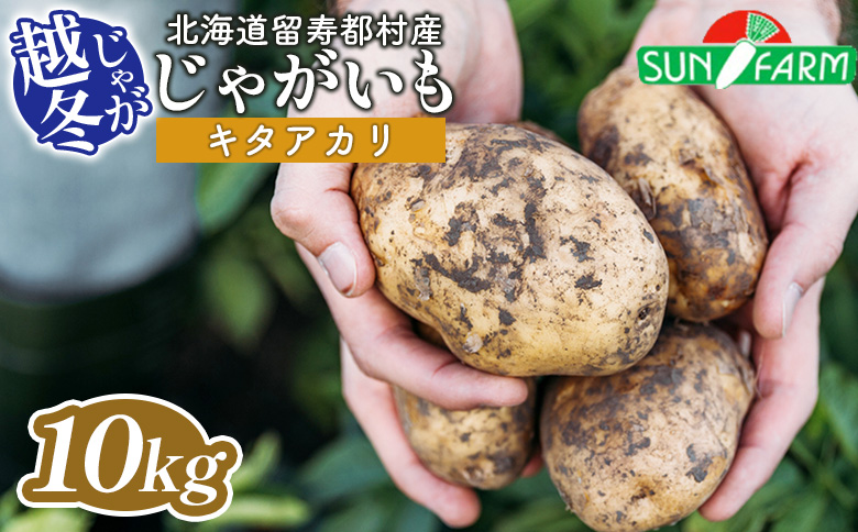 越冬じゃがいも キタアカリ 10kg いも おいも 芋 イモ ジャガイモ ポテト きたあかり オンライン 申請 ふるさと納税 北海道 留寿都 野菜 根菜 ホクホク 産地直送 新鮮 採れたて ポテトサラダ コロッケ スープ 10キロ 留寿都村【24021】
