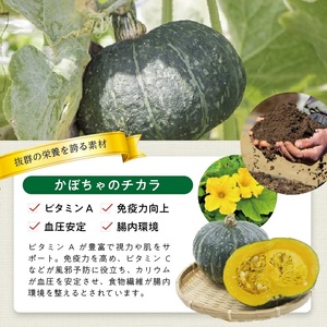 冷凍かぼちゃペースト2.0kg(500g×4袋) 山形県遊佐産 冷凍便 ※離島発送不可 冷凍 かぼちゃ カボチャ 南瓜 野菜 野菜ペースト 離乳食 介護食 お菓子作り 小分け ゆざ食彩工房 遊佐町 庄