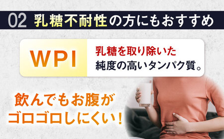 ALPRON PRO WPI プロテイン 900g ダブルリッチチョコレート風味 1個 筋トレ 健康 チョコ 島根県雲南市/株式会社アルプロン[AIAL070]