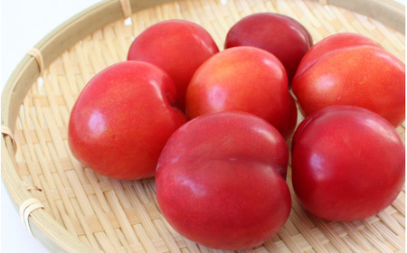 先行予約 すもも（大石）4kg ※5月下旬～6月中旬頃に順次発送予定【期間限定・2025/5/31まで】 / スモモ お取り寄せ 期間限定 夏 フルーツ 果物 和歌山県 田辺市 【mtm013】