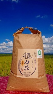 令和7年度産　體力米（たいりょくまい）コシヒカリ 玄米 10kg ｜ 米 新米 ブランド米 栃木県 大田原市