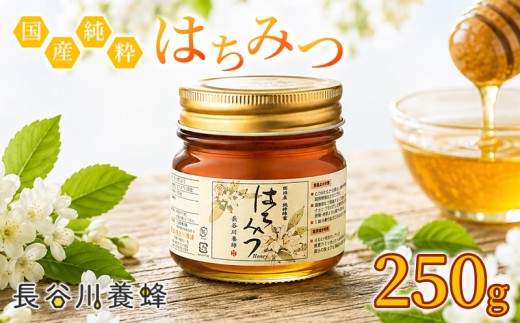 国産 はちみつ 長谷川養蜂 の 百花蜜 250g ハチミツ 国産蜂蜜 国産はちみつ 国産純粋はちみつ 蜜 蜂蜜 はちみつ ハニー honey 人気ハチミツ 純粋はちみつ 常温 保存 備蓄 防災食 非常食 保存食 蜜 ヨーグルト 産地直送 三重県 伊勢 志摩 南伊勢町 6000円 6千円 一万円 以下 10000円 以下