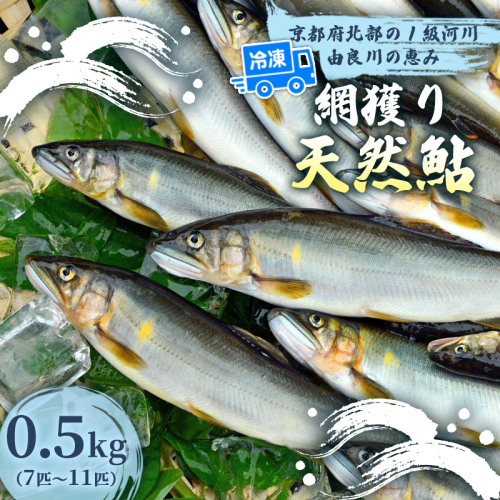 天然鮎 網獲り 冷凍 約0.5kg（約7匹〜11匹）【 由良川の網獲り 由良川漁協 冷凍あゆ 冷凍鮎 高鮮度 冷凍 あゆ 鮎 魚 さかな 舞鶴 京都 】
