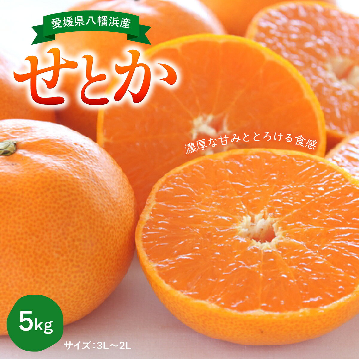 【ふるさと納税】【先行受付】愛媛県八幡浜産「せとか」5kgサイズ3L～2L【F79-30】みかん ミカン 柑橘 くだもの 果物 フルーツ せとか 大トロ 甘い デザート 産地直送 産直 贈り物 贈答用 【1698686】YWTC026